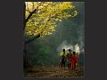 748 - CHIT CHAT - SRINIVASA REDDY TAMMA - india